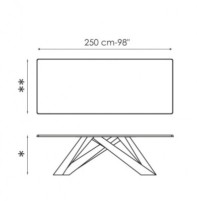 Big_Table_Ficha_Medidas_250.jpg